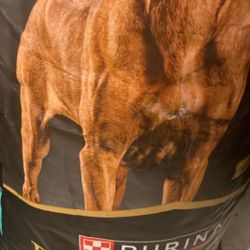 Dog Food