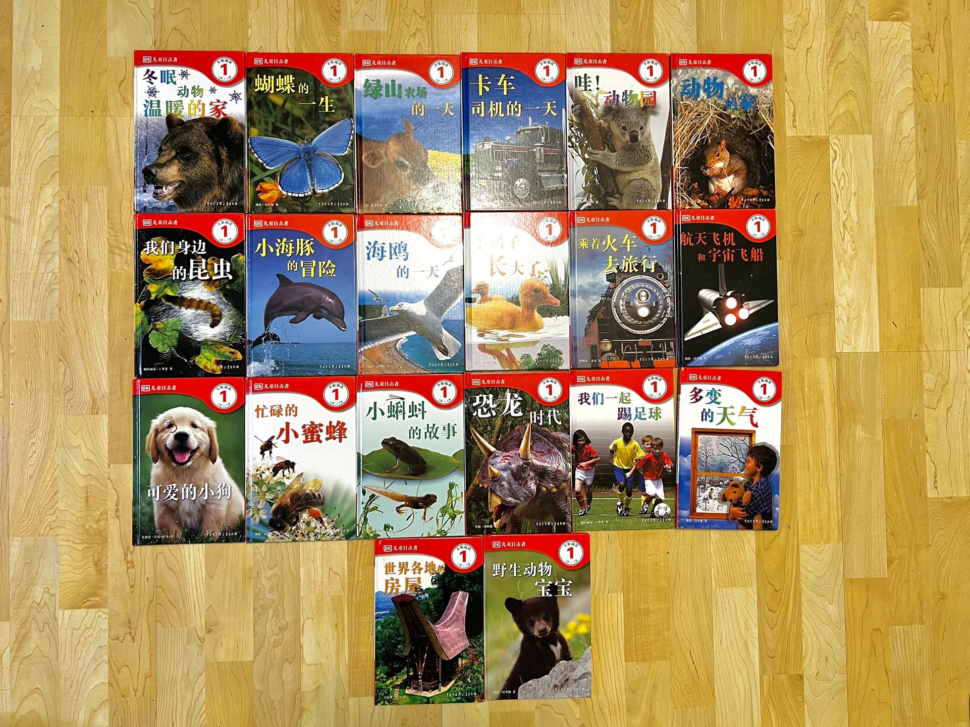 DK Readers Sets - Beginning to Read Level 1 - Chinese