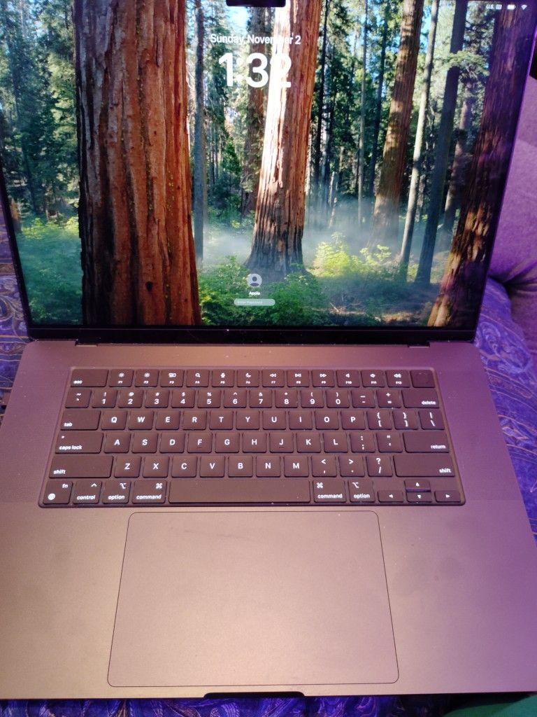 2024 Apple MacBook M4 Pro