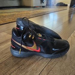 LeBron Bball Shoes 