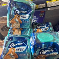Charmin Flushable Wipes 2$