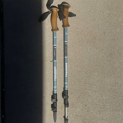 REI Co-op Traverse Powerlock Aluminum Trekking Poles