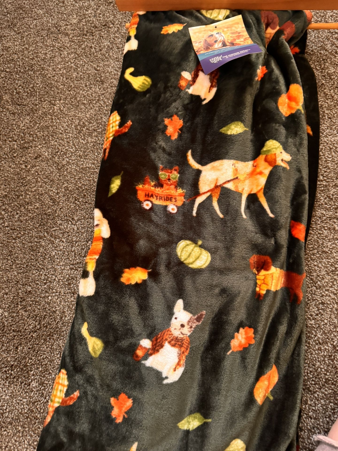 *NEW* The Humane Society Oversized Throw 60x70 Inches. Fall Themed With Dogs.