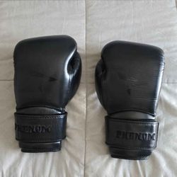 Phenom 12oz Bag Gloves