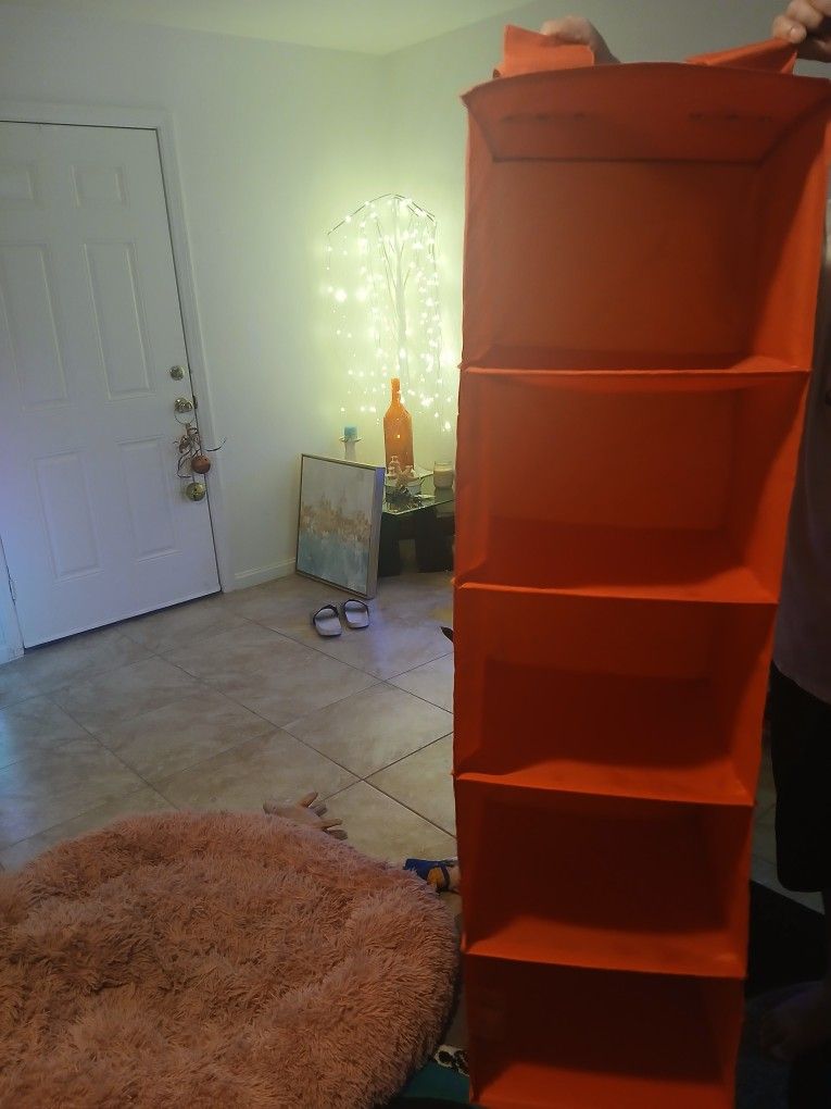 Closet Organizers 2 For $5
