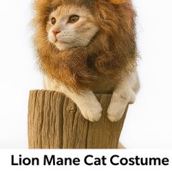 Lion Mane Cat Costume