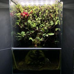 Biopod Aqua 2 Fish Tank