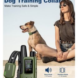 Jugbow Dog Shock Collar-New DT-612