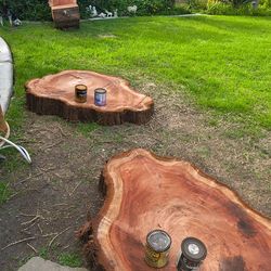 Redwood stepping stones