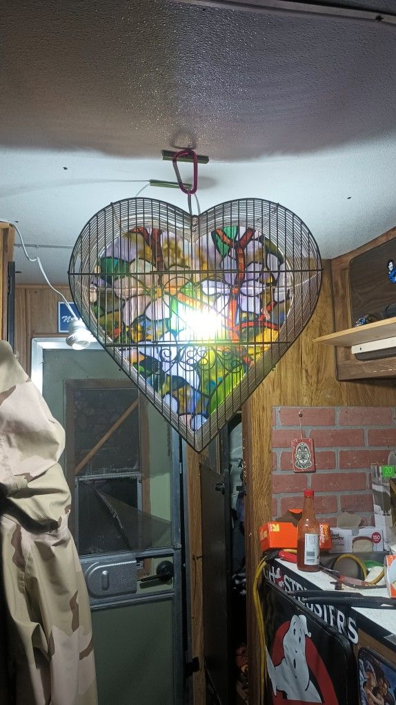 Bird Cage