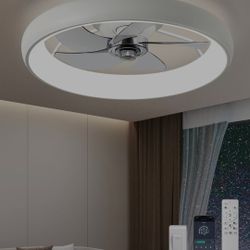 Ceiling Fan With Light