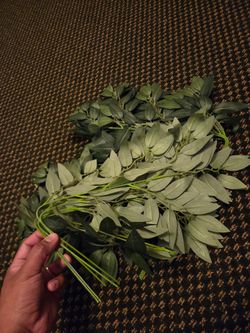Artificial Sage Leaf Garland Stems Bundle