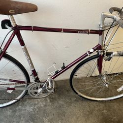 Tall Fuji Road Bike 