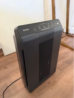 Winix Air Filter