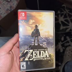 TLOZ: Breath Of The Wild 