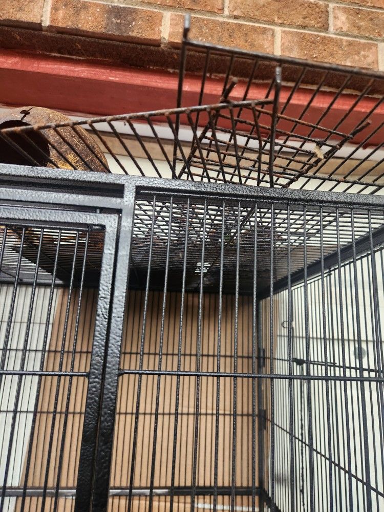 cage and accessories