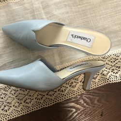 Chadwicks Pointed Light Blue Heels Size 6