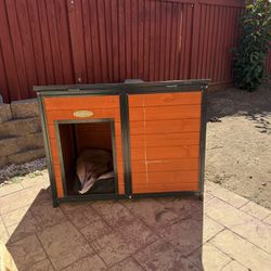Dog house 