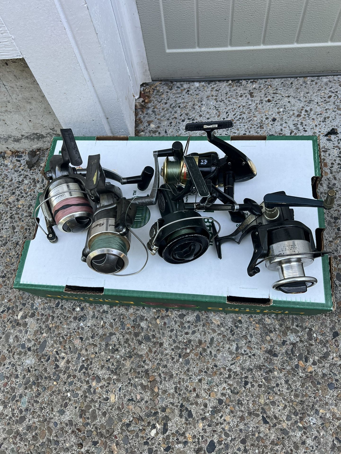 Fishing Reels