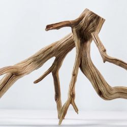 Manzanita Branches For Aquarium And Terrariums 