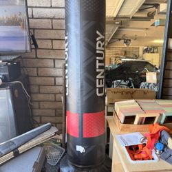 Century Standup Punching And kicking Bag 