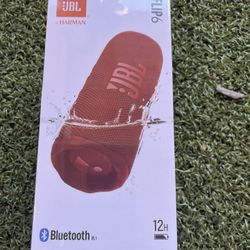 Jbl Flip 6