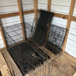 Dog Kennels