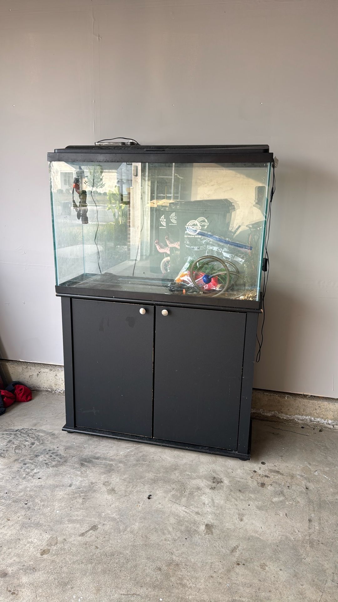 Fish Tank 