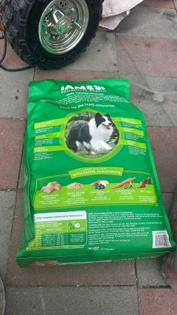 Iams proactive health 15lbs