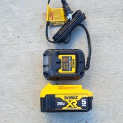 Dewalt 20v Charger And Battery Brand New 