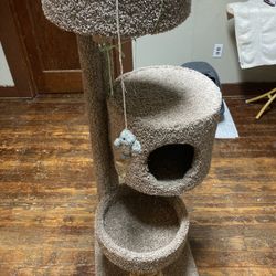 Cat Play Tower An Scatch Board 