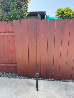 1 Piece Fishing Combo Penn Senator 113H
