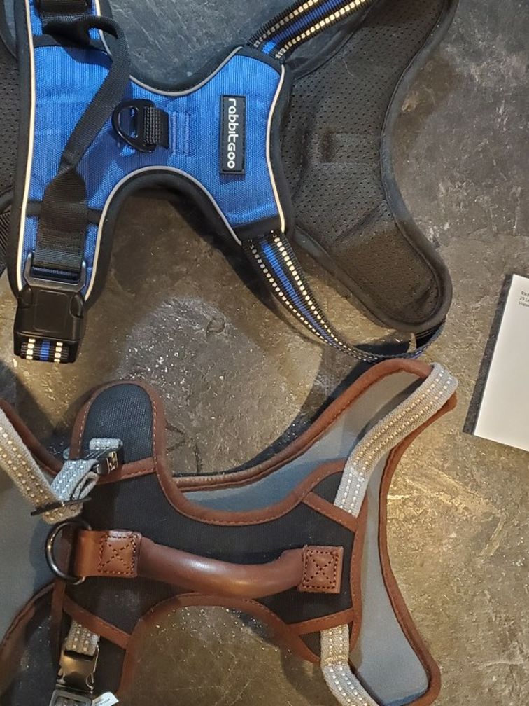 Dog Harness