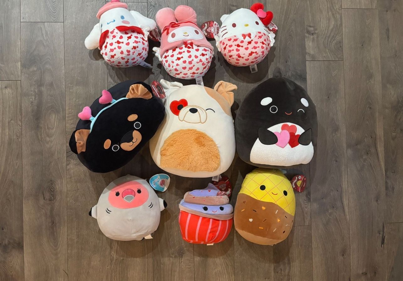 Lots of 9 Valentine’s Day Squishmallow various sizes