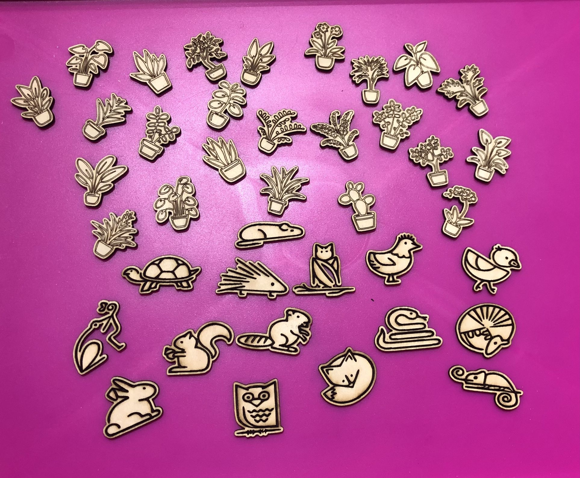 Mini Laser Engraved Plants And Animals