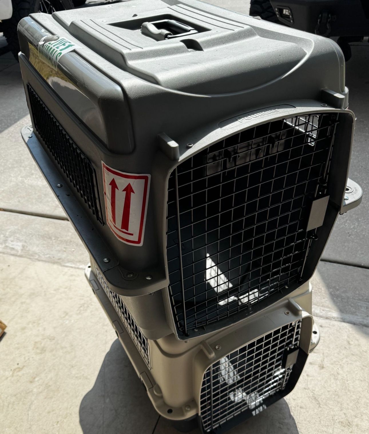 (M) Dog Kennel