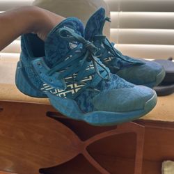 James Harden Boys Basketball Shoes 6.5