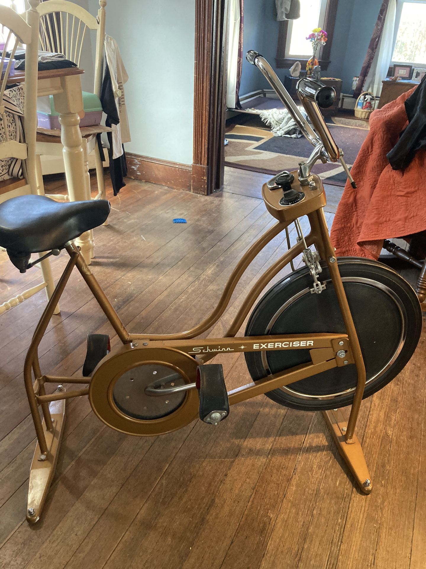 Vintage Schwinn Exercise Bike