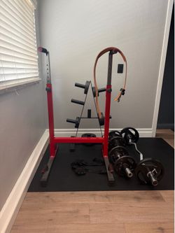 dip station steel frame gym equipment