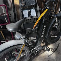 Bad Ass Bike