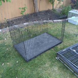 Huge Dog Crate