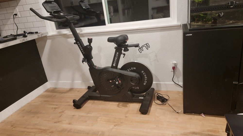 electric 3 wheel bicycles adults TG1 Plus 350W