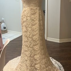 Beautiful Jason Alexander wedding Dress 