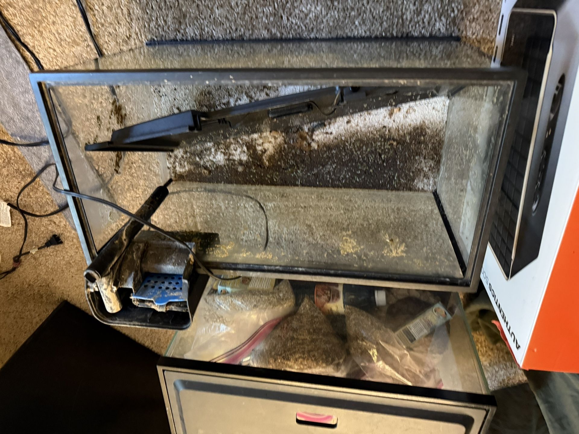 Two 10 Gallon Tanks