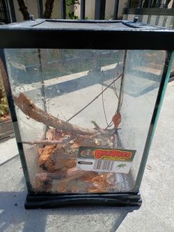 Terrariums for sale