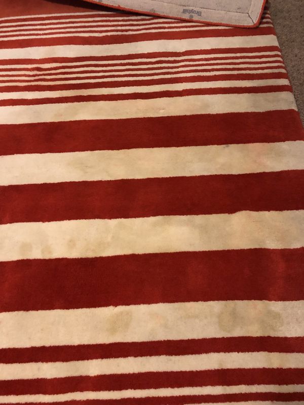 Broyhill Wool Area Rugs Rug Ideas