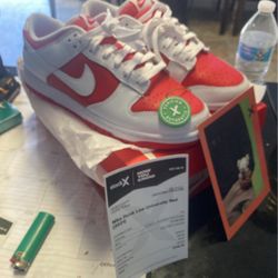 Nike Dunks Low University Red 2021 