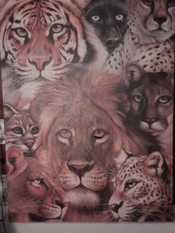 Giant Painting Of Different Types Of Tigers
