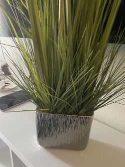 Fake Plant decor 