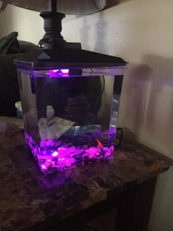 Pescara para pescado